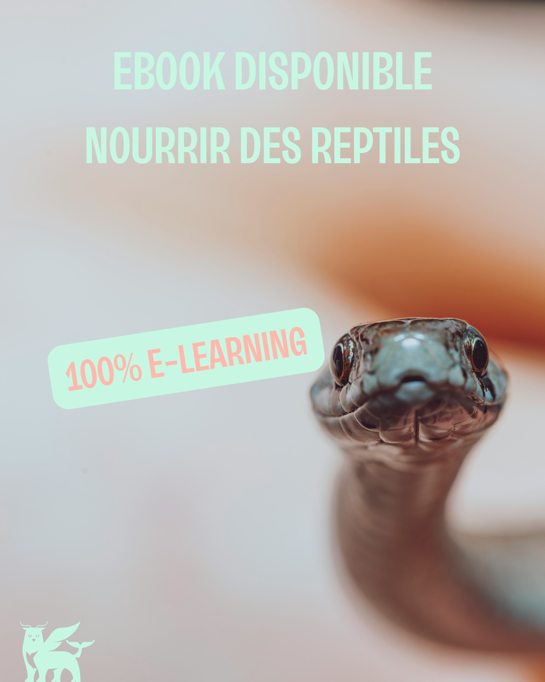 Nouveau ebook disponible