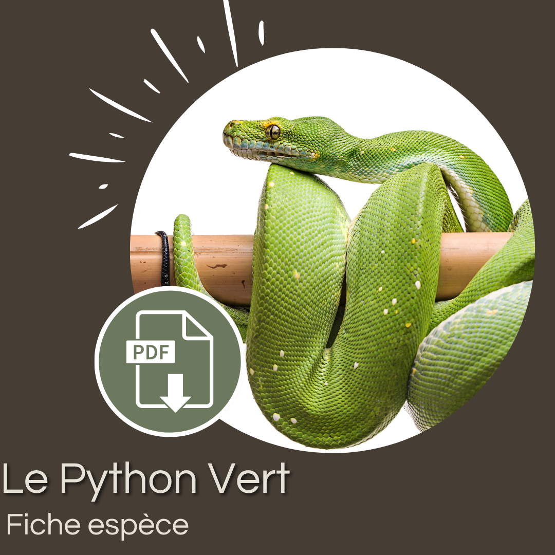 Pack 30 Fiches Espèces Serpents + Guide d'Interprétation Méthodologique (PDF) – Image 25