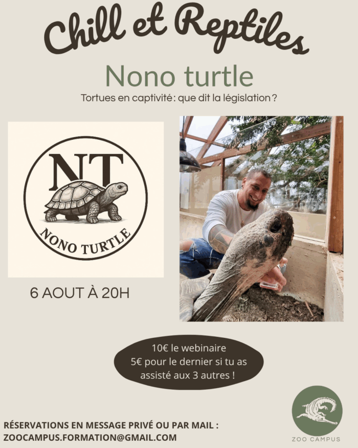 06/08 à 20h : Tortues en captivité que disent les lois