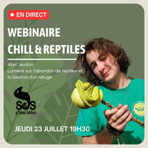 Webinaire du 23/07 : Abel Jeudon