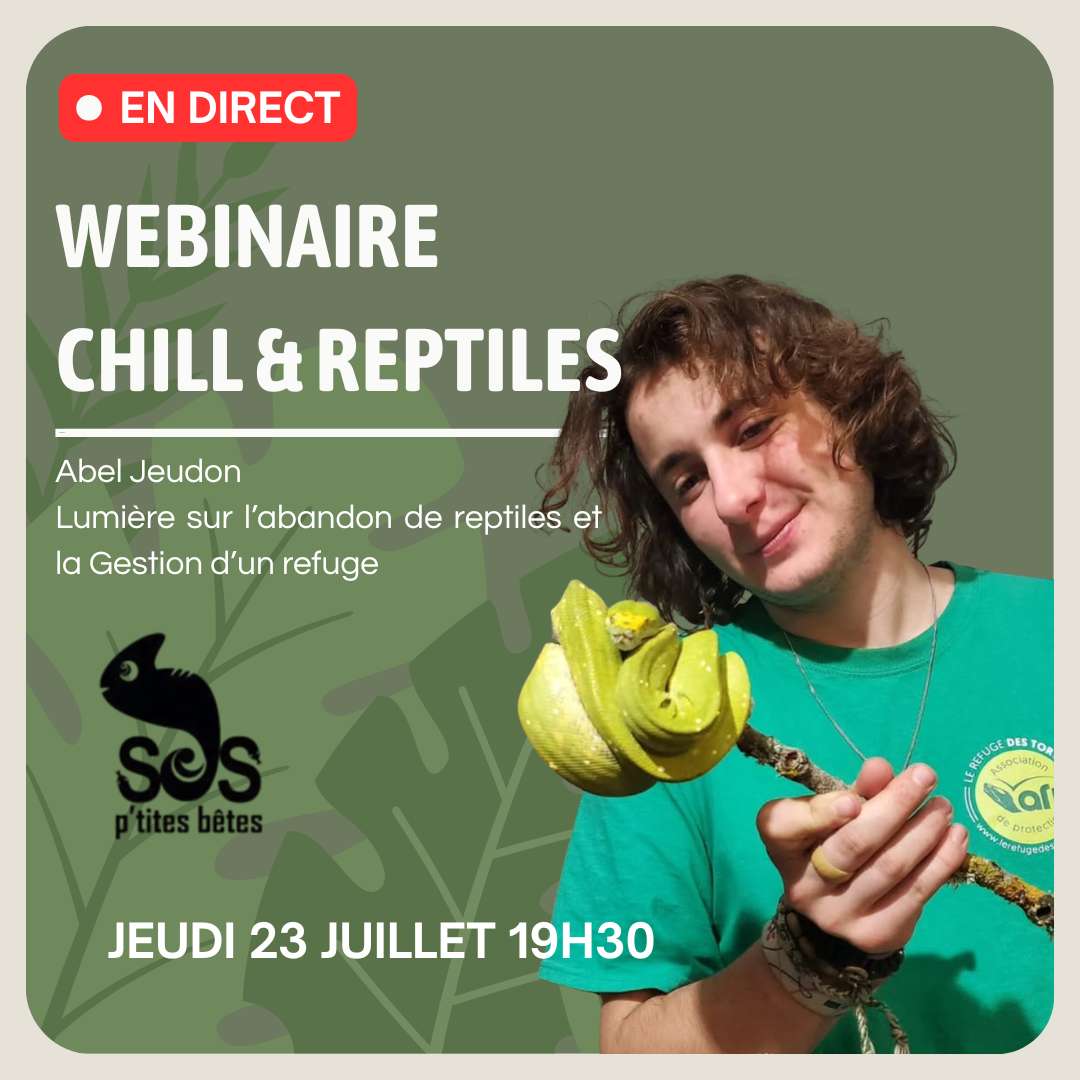 Webinaire du 23/07 : Abel Jeudon