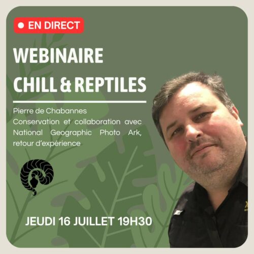 Webinaire du 16/07 : Pierre de Chabannes