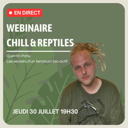 Webinaire du 30/07 : Quentin Pohu