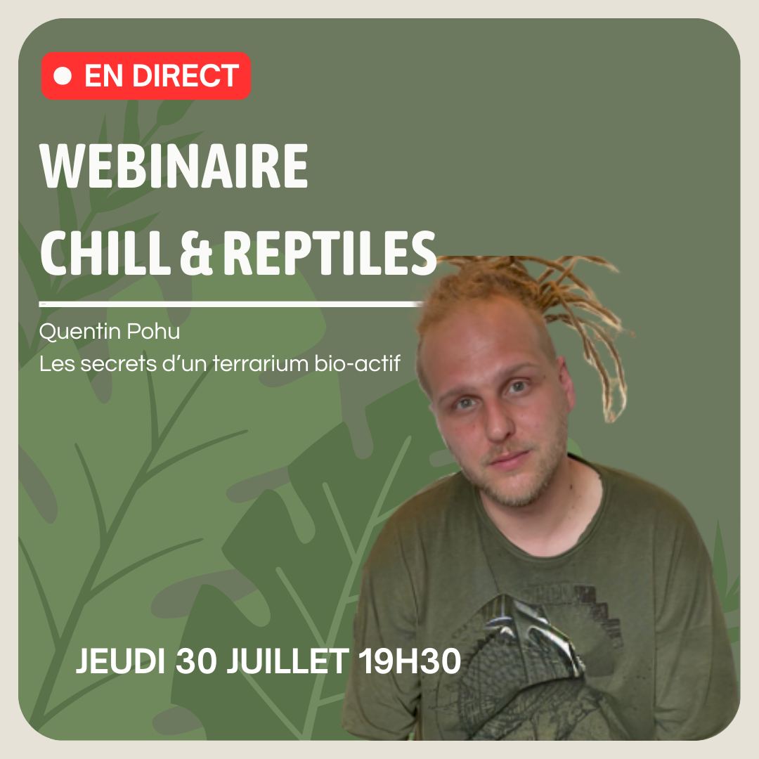 Webinaire du 30/07 : Quentin Pohu