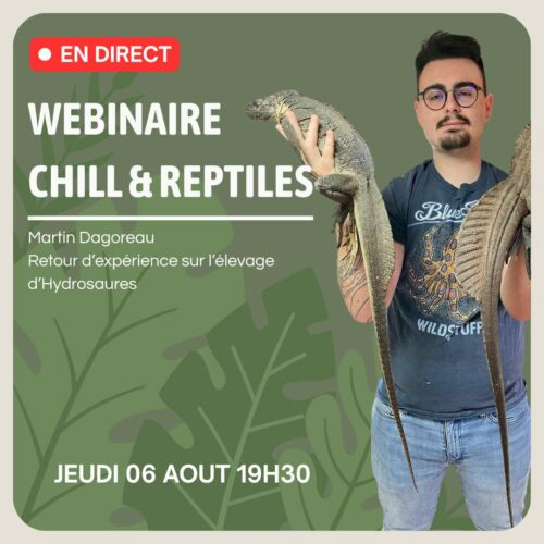 Webinaire du 06/08 : Martin Dagoreau
