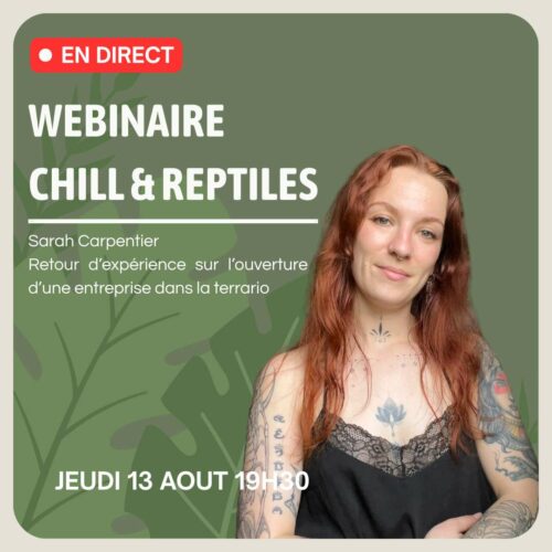 Webinaire du 13/08 : Sarah Carpentier