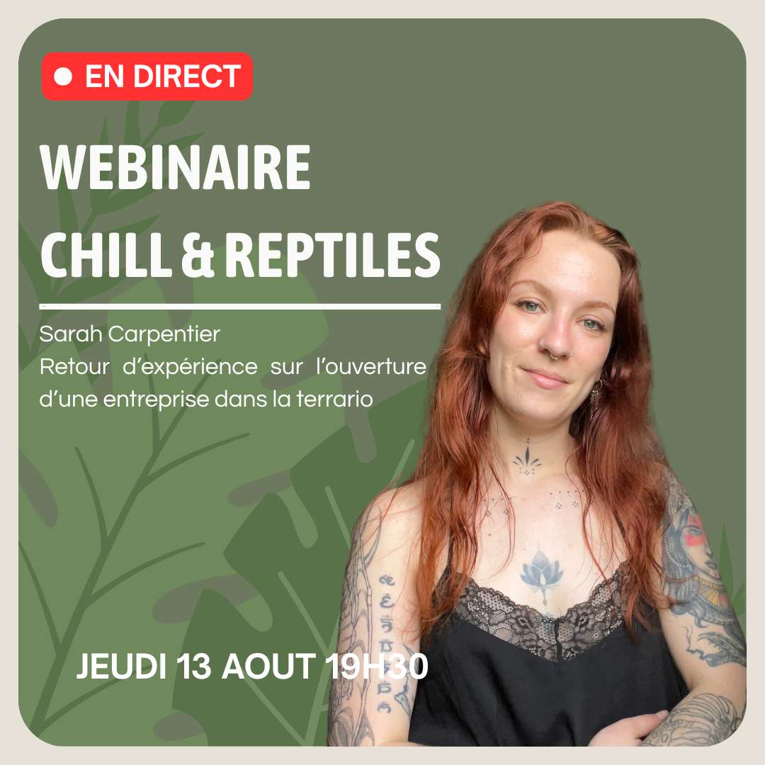Webinaire du 13/08 : Sarah Carpentier